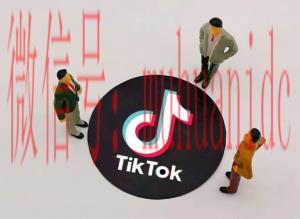 tiktok账号购买平台