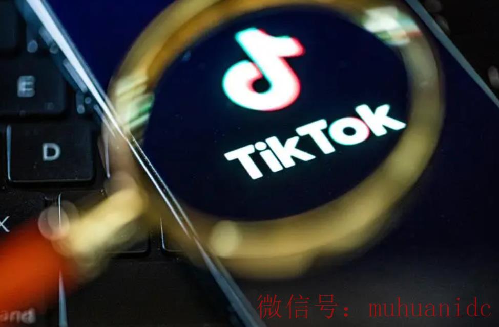 tiktok账号购买平台