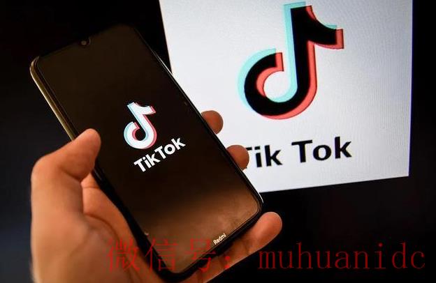 tiktok账号购买平台