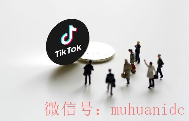 tiktok账号购买平台