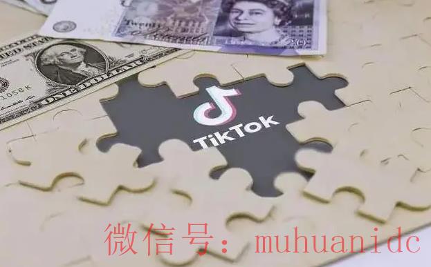 tiktok账号购买平台