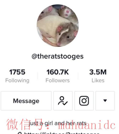 tiktok账号购买平台