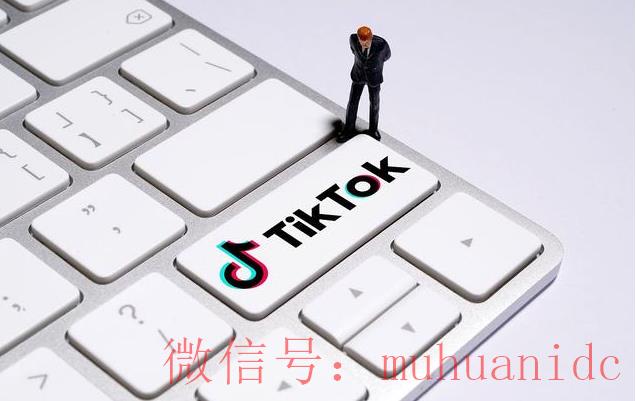 tiktok账号购买平台