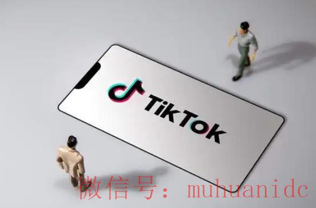 tiktok账号购买平台