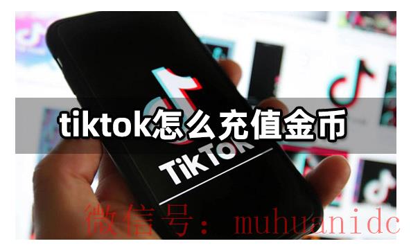 tiktok账号购买平台