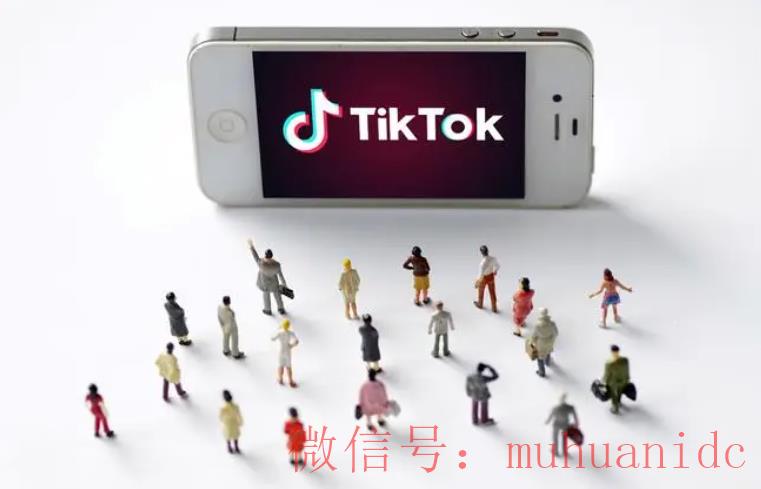 tiktok账号购买平台