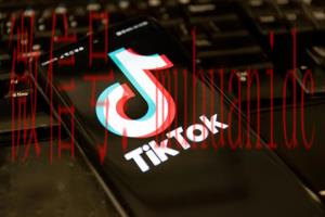 tiktok账号购买平台