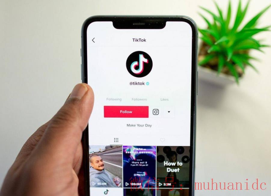 tiktok账号购买平台