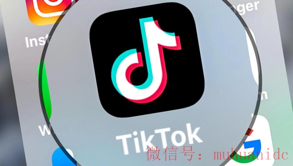 tiktok账号购买平台